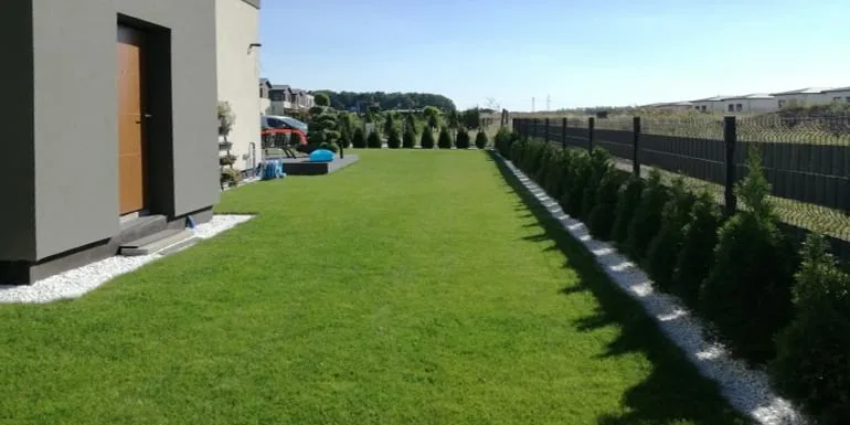 plantarea gazonului